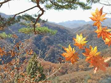 药流药中国驻美大使：美方应拿出平等、尊重、互惠的态度